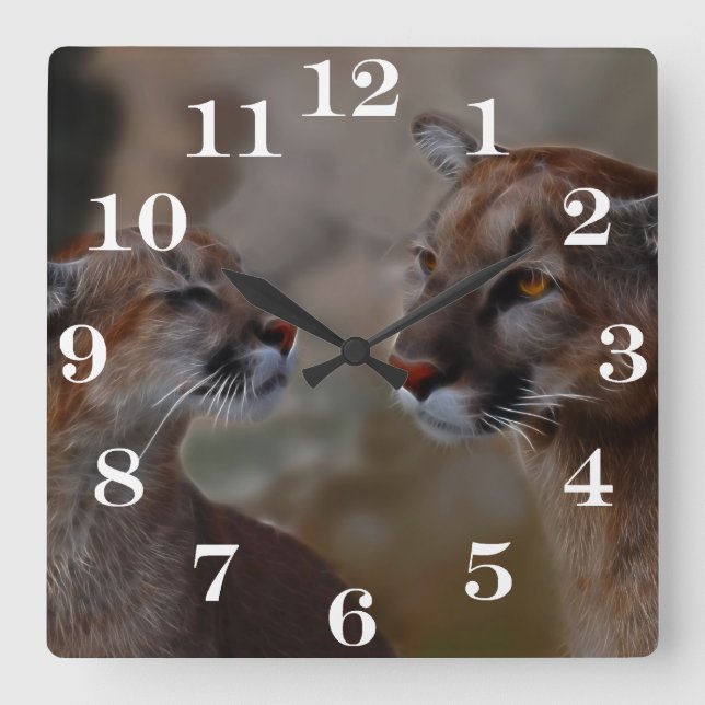 Mountain lions in love square wall clock (Front)