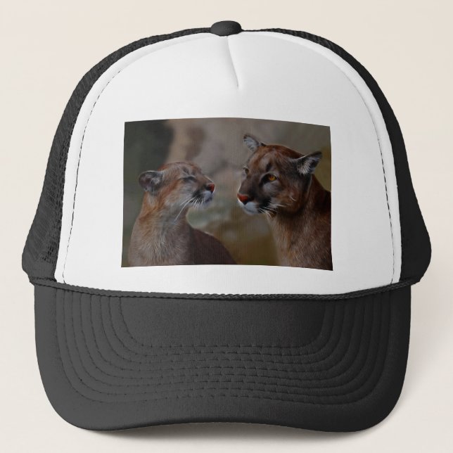 Mountain lions in love trucker hat (Front)