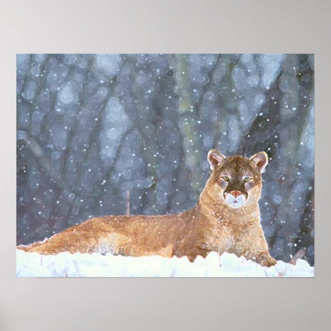 MOUNTAIN LIONS POSTER (Front)
