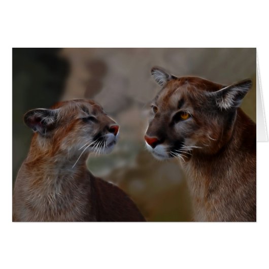 Mountain lions reverence cards (Front Horizontal)
