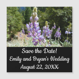 Mountain Lupins at Yosemite