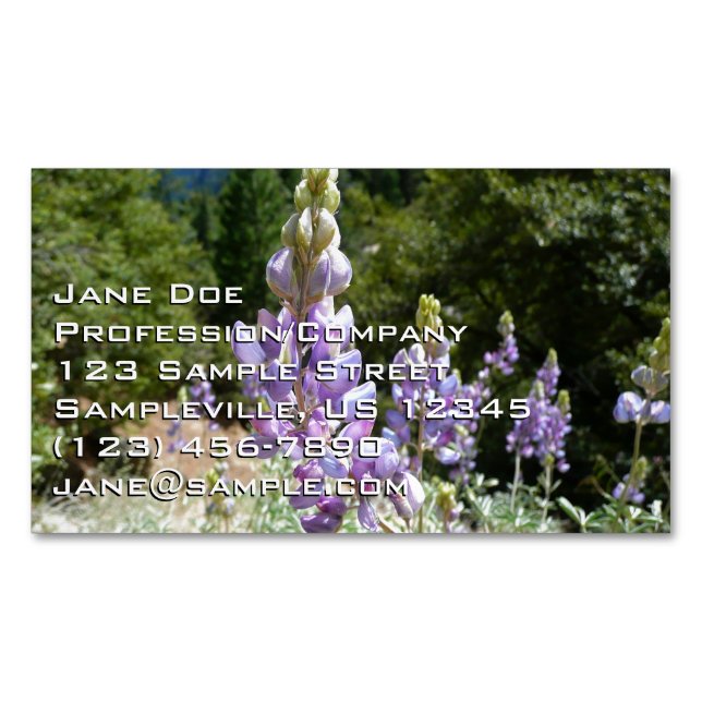 Mountain Lupins at Yosemite Business Card Magnet (Front)