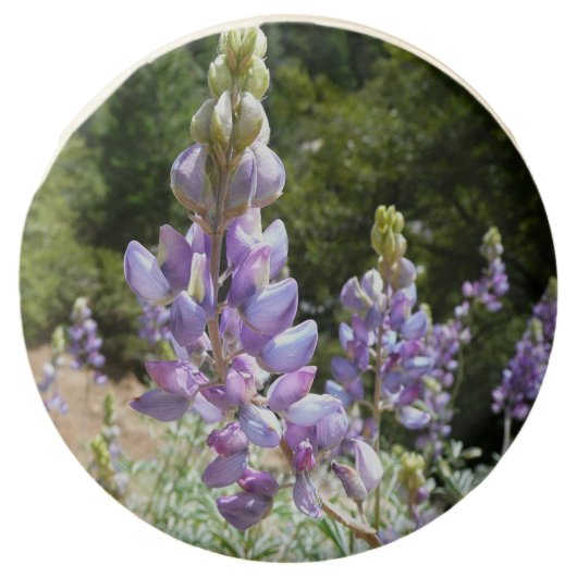 Mountain Lupins at Yosemite Chocolate Dipped Oreo (Front)