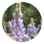 Mountain Lupins at Yosemite Classic Round Sticker