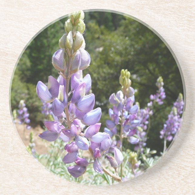 Mountain Lupins at Yosemite Drink Coaster (Front)