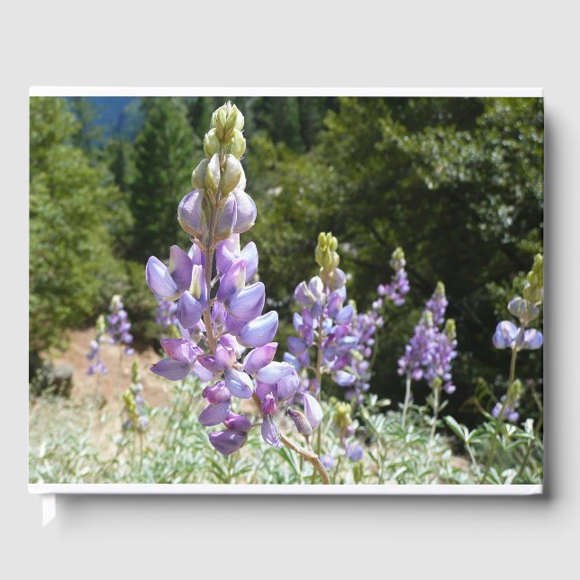 Mountain Lupins at Yosemite Guest Book (Front)
