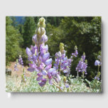 Mountain Lupins at Yosemite Guest Book