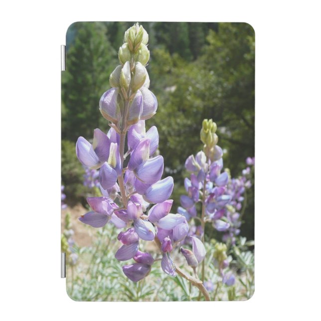 Mountain Lupins at Yosemite iPad Mini Cover (Front)
