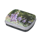 Mountain Lupins at Yosemite Jelly Belly Candy Tin (Side)