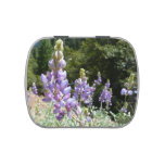 Mountain Lupins at Yosemite Jelly Belly Candy Tin