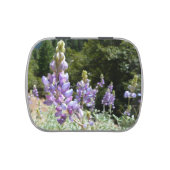 Mountain Lupins at Yosemite Jelly Belly Candy Tin (Top)