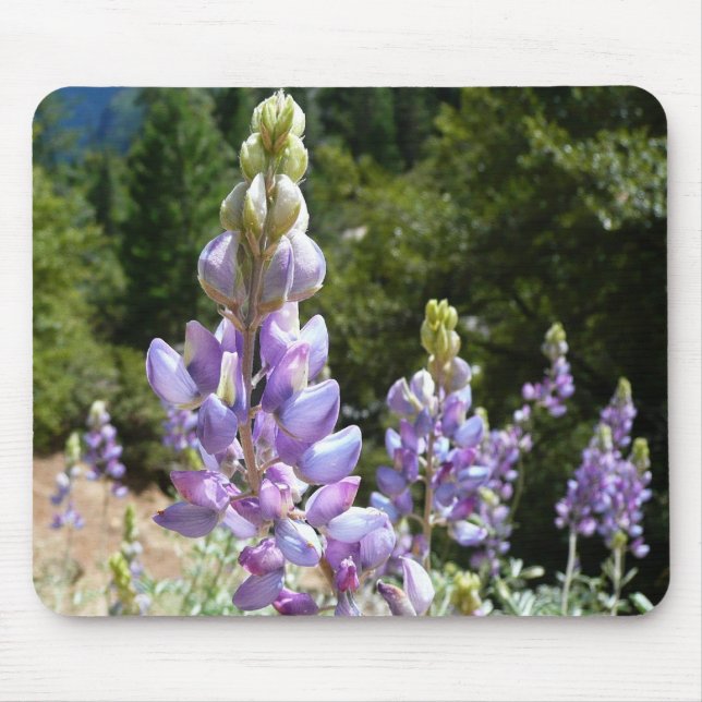 Mountain Lupins at Yosemite Mouse Pad (Front)
