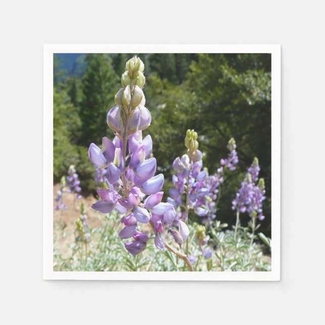 Mountain Lupins at Yosemite Paper Napkins (Front)