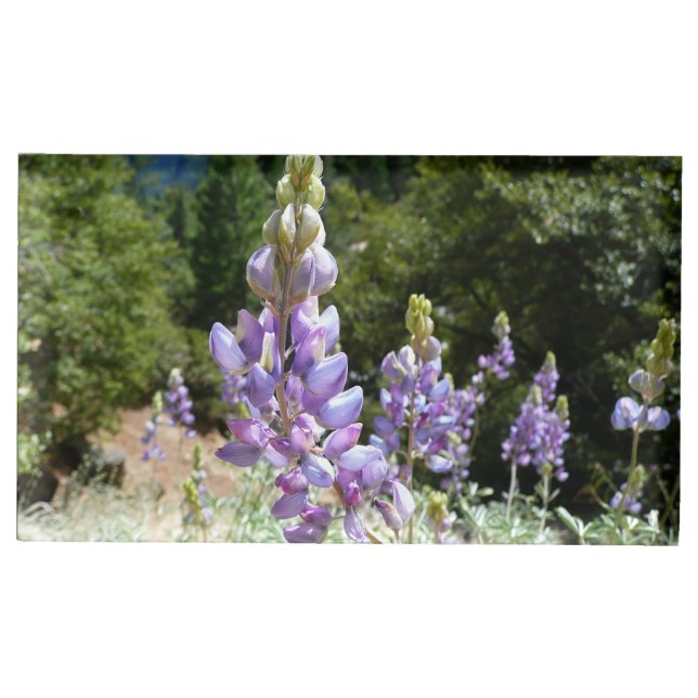 Mountain Lupins at Yosemite Place Card Holder (Front)