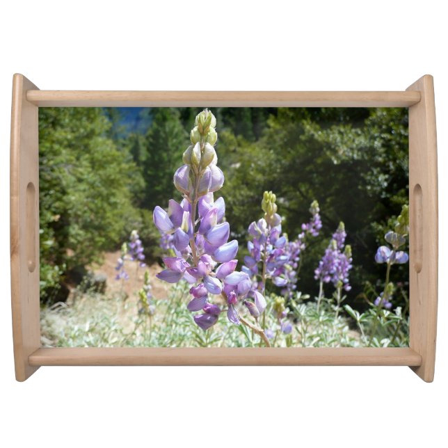 Mountain Lupins at Yosemite Serving Tray (Front)
