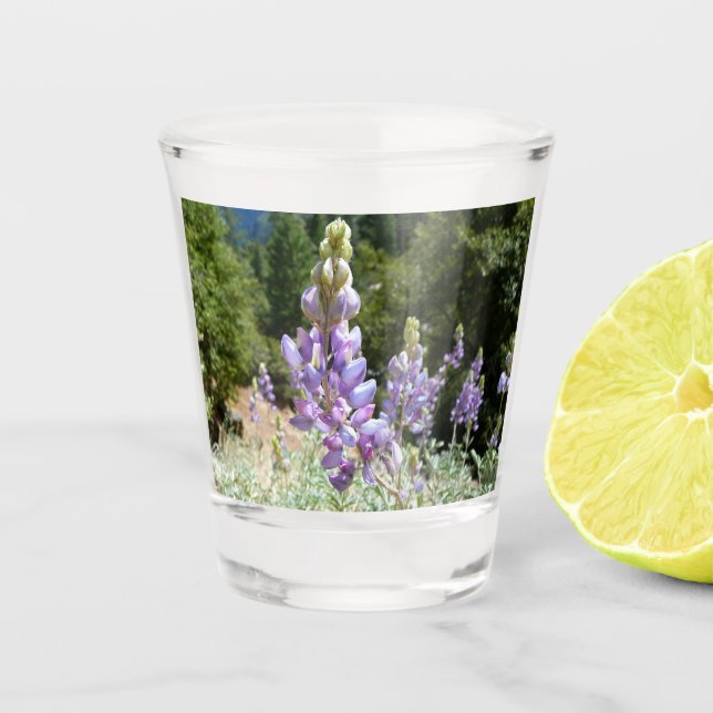 Mountain Lupins at Yosemite Shot Glass (Front)