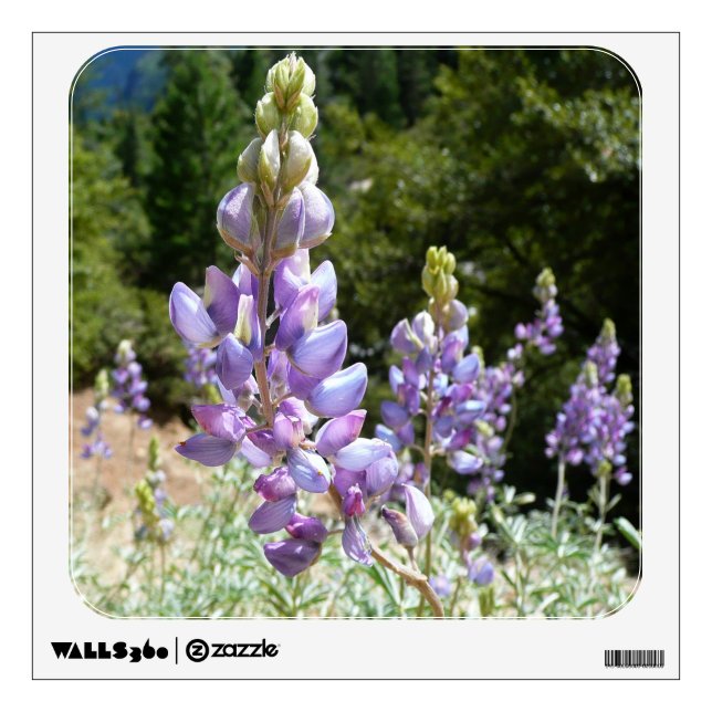 Mountain Lupins at Yosemite Wall Sticker (Front)