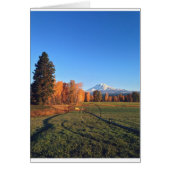 Mountain Marvel Cards (Front)