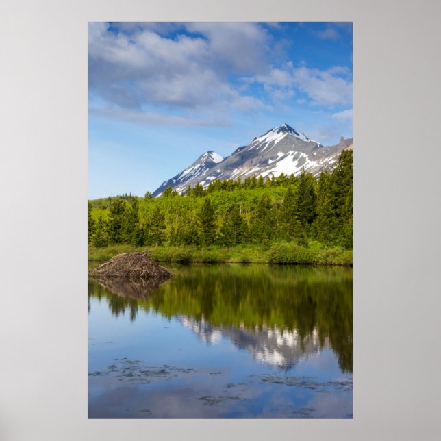 Mountain Peaks Reflect Into A Beaver Pond Poster (Front)