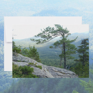 Mountain Pine Tree – Nature’s Resilience Photo Note Card