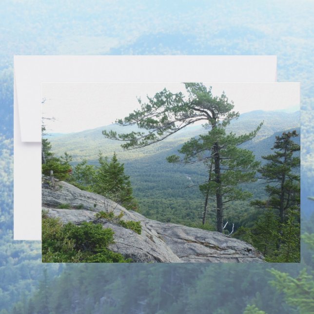 Mountain Pine Tree – Nature’s Resilience Photo Note Card (Creator Uploaded)