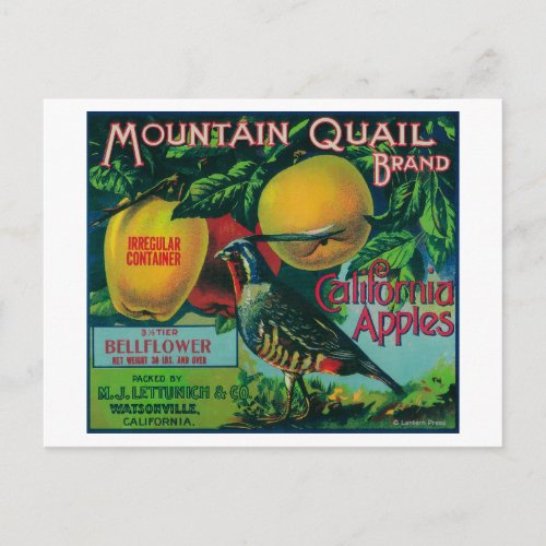 Mountain Quail Apple Crate Label Postcard