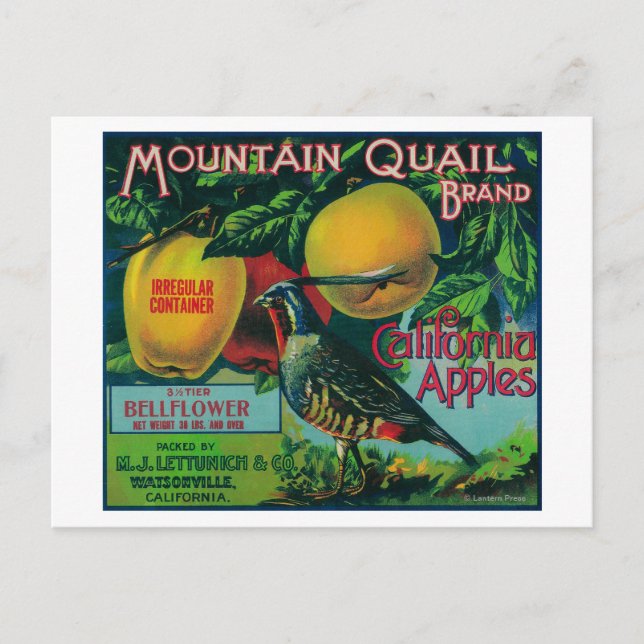 Mountain Quail Apple Crate Label Postcard (Front)