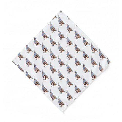 Mountain quail bird cartoon illustration  bandana