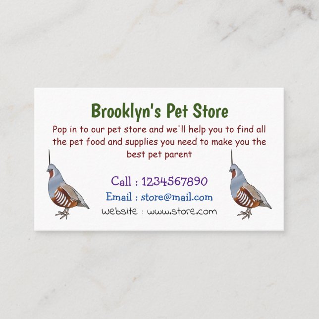 Mountain quail bird cartoon illustration business card (Front)