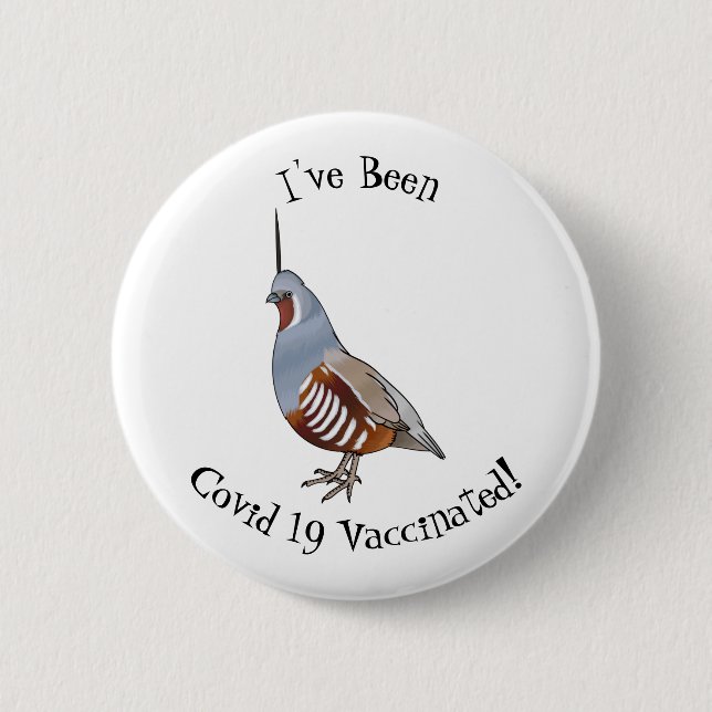 Mountain quail bird cartoon illustration button (Front)
