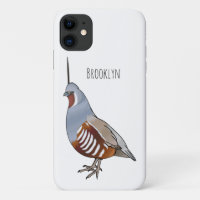 Mountain quail bird cartoon illustration 
