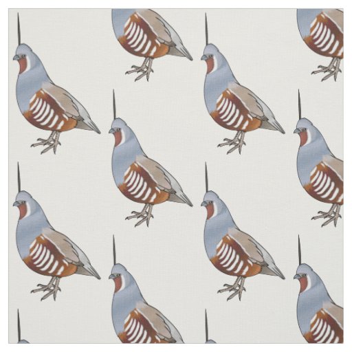 Mountain quail bird cartoon illustration fabric