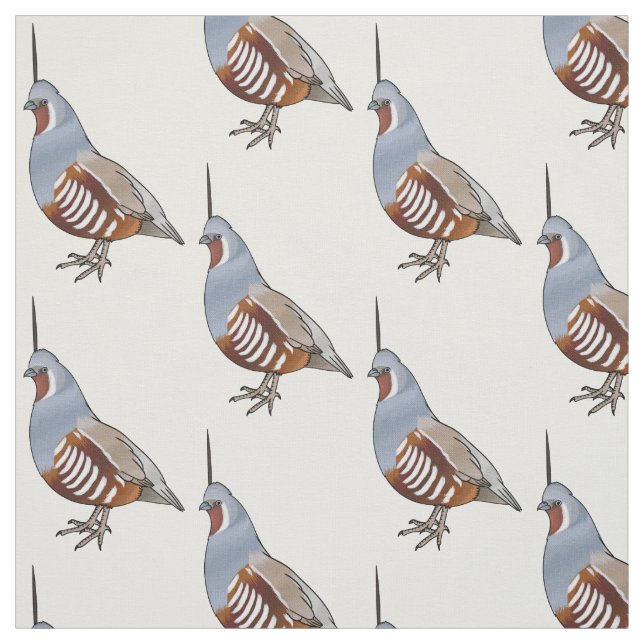 Mountain quail bird cartoon illustration fabric (Swatch)