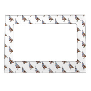 Mountain quail bird cartoon illustration magnetic frame