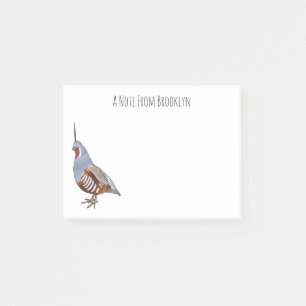 Mountain quail bird cartoon illustration post-it notes