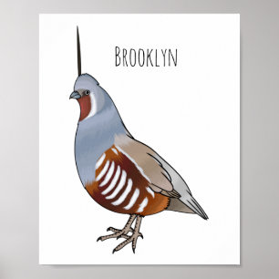 Mountain quail bird cartoon illustration  poster