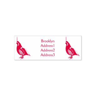 Mountain quail bird cartoon illustration self-inking stamp