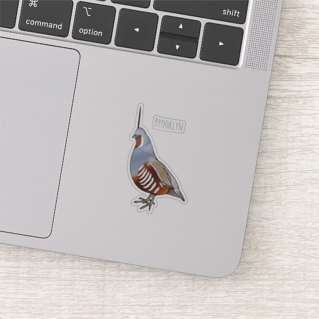 Mountain quail bird cartoon illustration sticker (Detail)