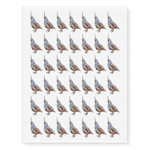 Mountain quail bird cartoon illustration  temporary tattoos