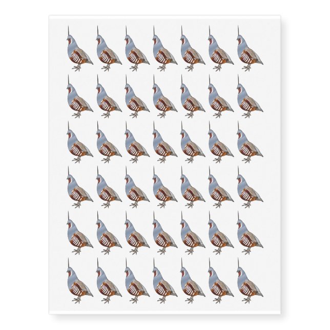 Mountain quail bird cartoon illustration  temporary tattoos (Front)