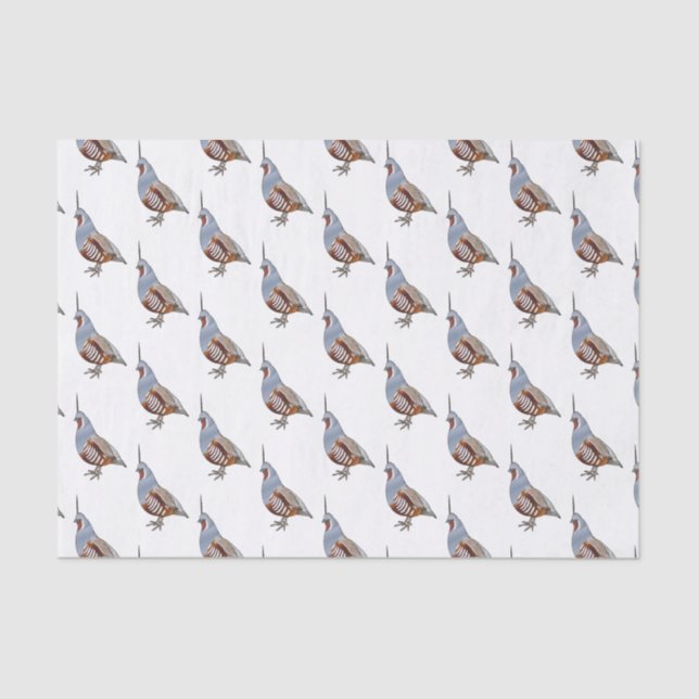 Mountain quail bird cartoon illustration tissue paper (Front)