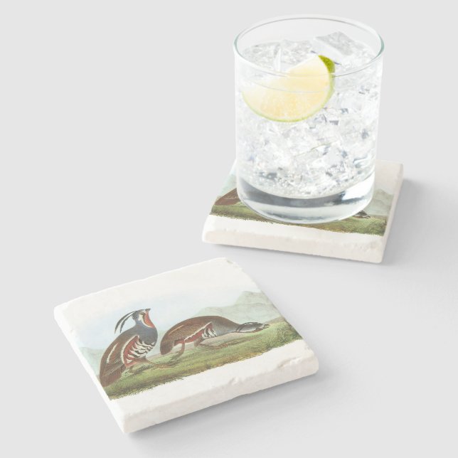 Mountain Quail by Audubon Stone Coaster (Side)
