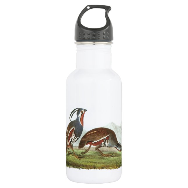 Mountain Quail by Audubon Water Bottle (Front)