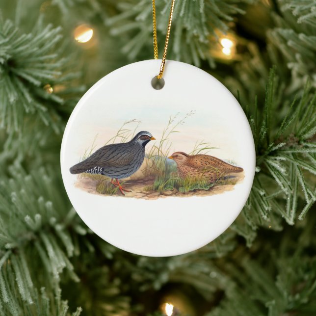 Mountain Quail , Tree Ceramic Ornament (Tree)