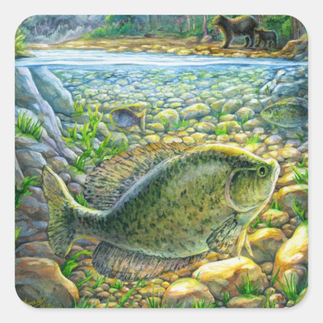 Mountain River Fish Square Sticker (Front)
