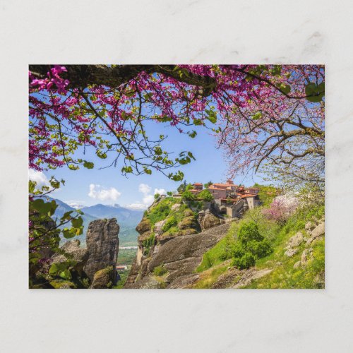 mountain rock and pink cherry tree flower blossom postcard