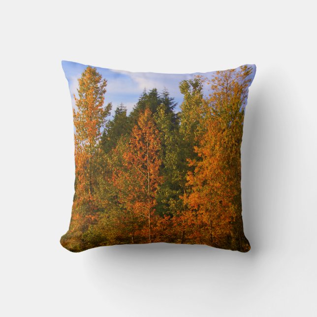 Mountain scene, trees, fall colors throw pillow (Front)
