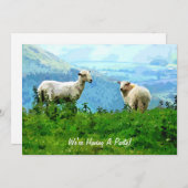 MOUNTAIN SHEEP (Front/Back)