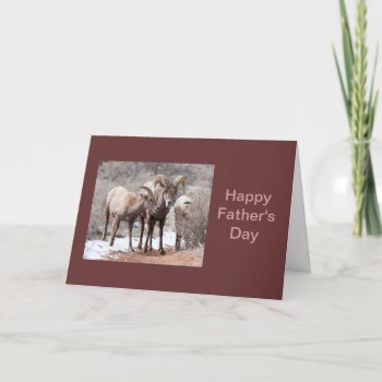 Mountain Sheep Father's Day Card by bluerabbit at Zazzle