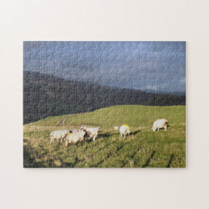 MOUNTAIN SHEEP JIGSAW PUZZLE